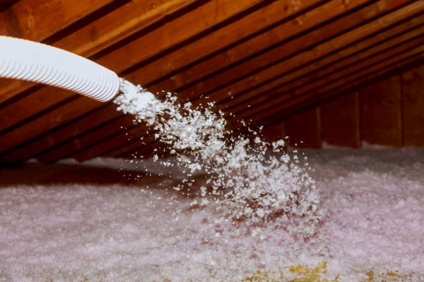 Trusted West Orange, TX Insulation Contractor Experts