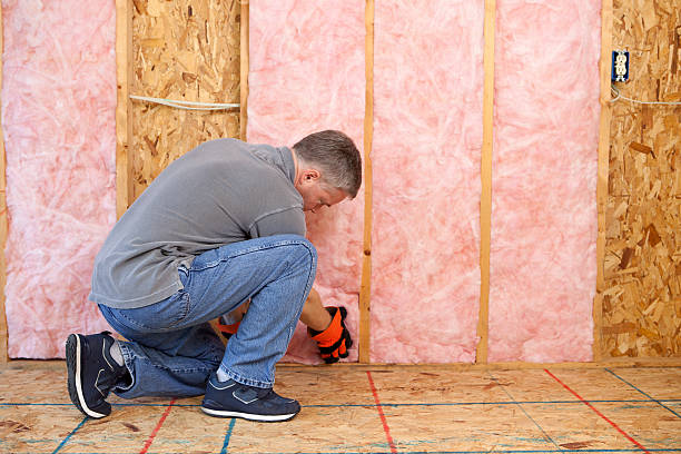 Best Eco-Friendly Insulation in West Orange, TX